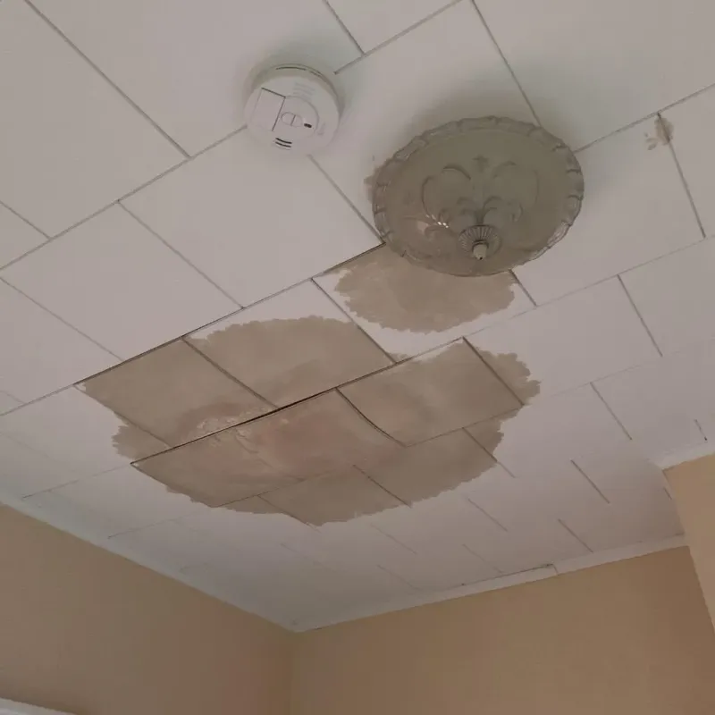 Ceiling Water Damage Repair in Central, LA