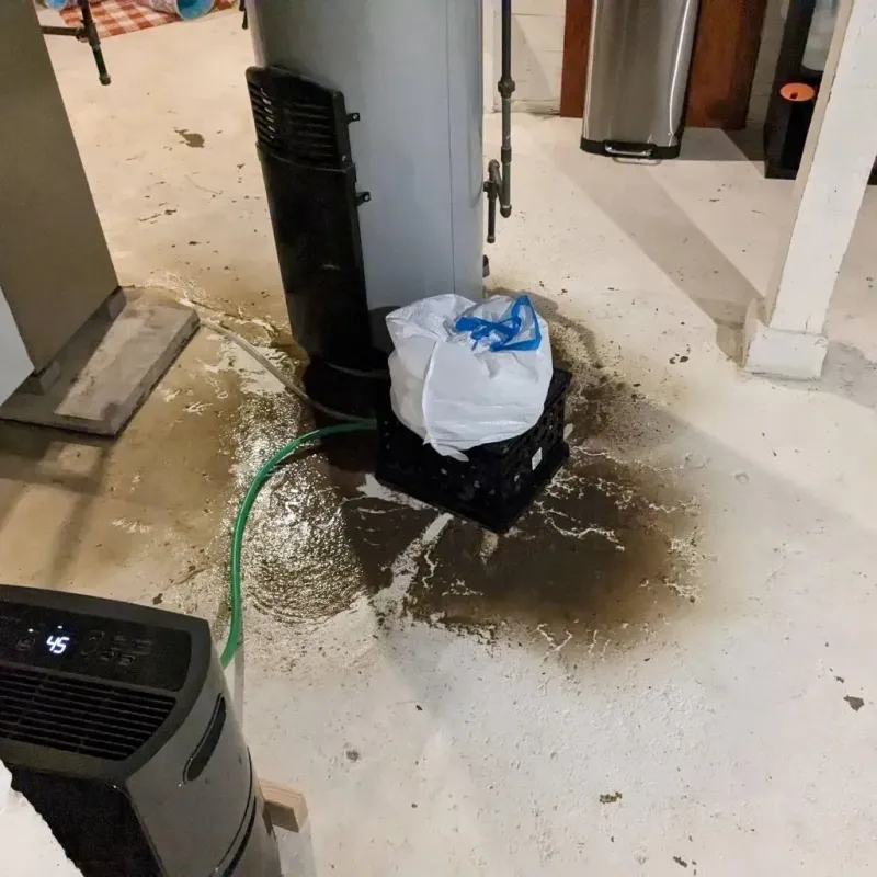 Sewage Backup Cleanup Service in Central, LA